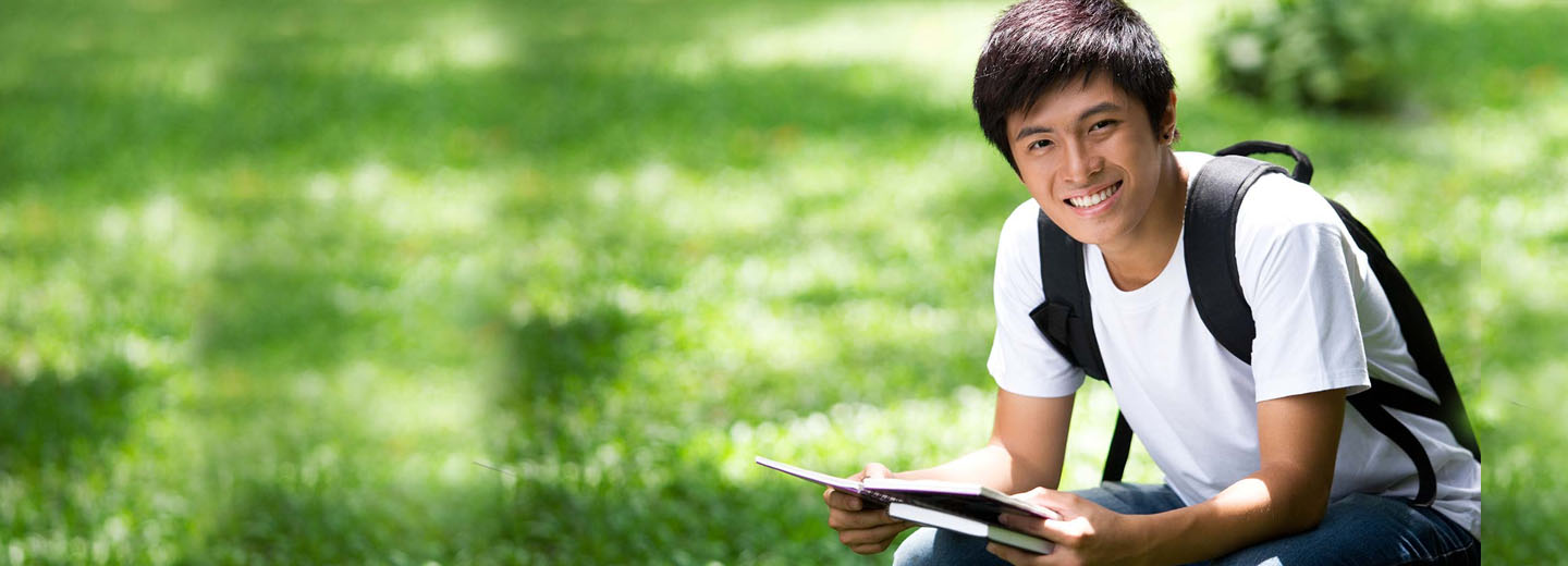 会员商城稳定的ddos网页版